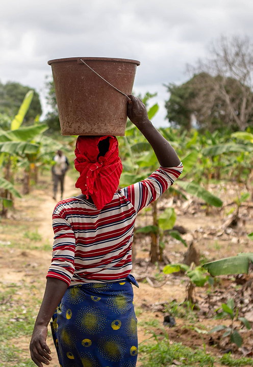 Woman carrying a bucket on her head in a rural setting with greenery.