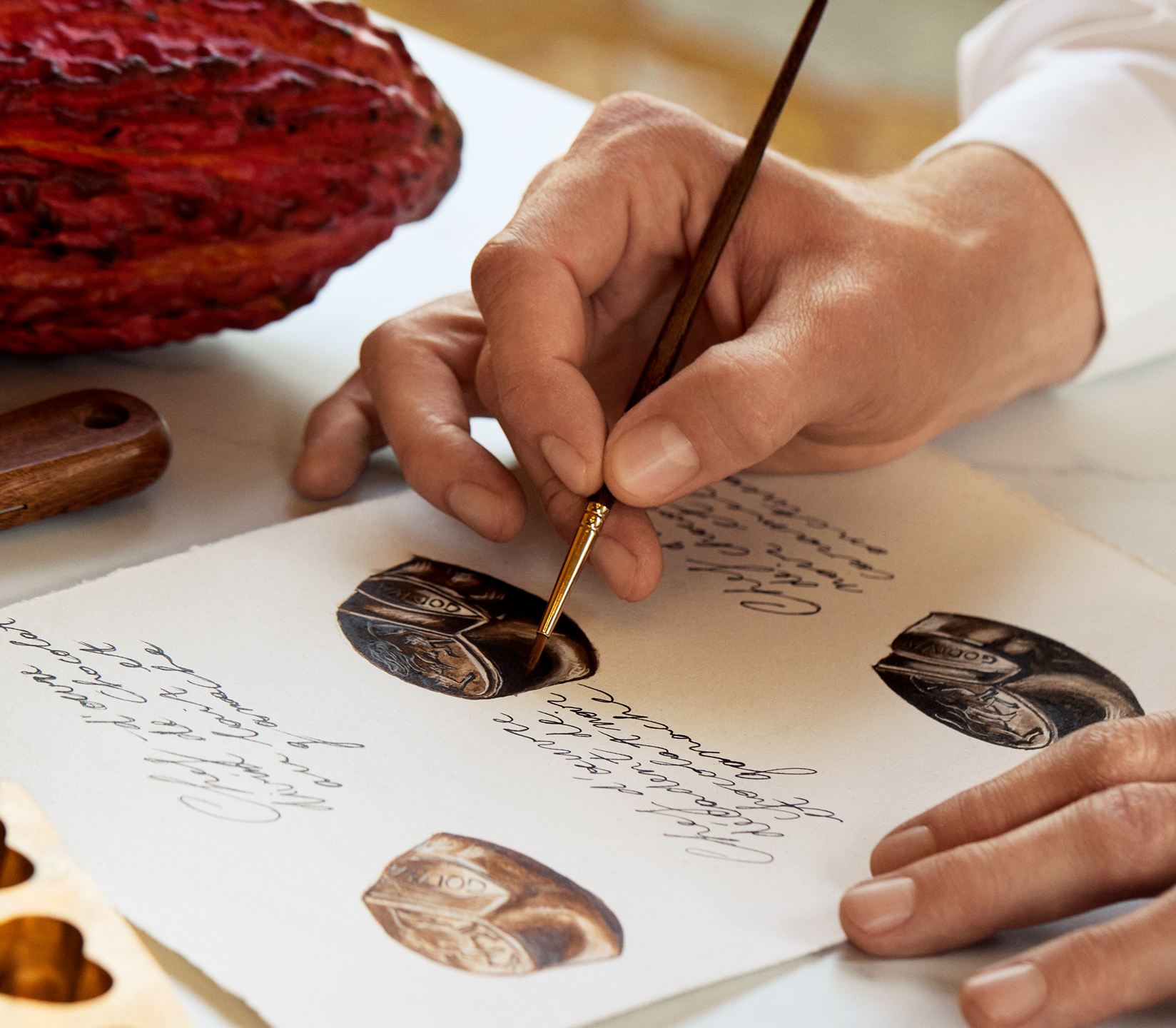 Hand writing on a document with cacao beans and a cocoa pod in the background